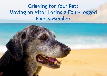 Grieving-for-Your-Pet-Moving-on-After-Losing-a-Four-Legged-Family-Member.jpg (411×291)