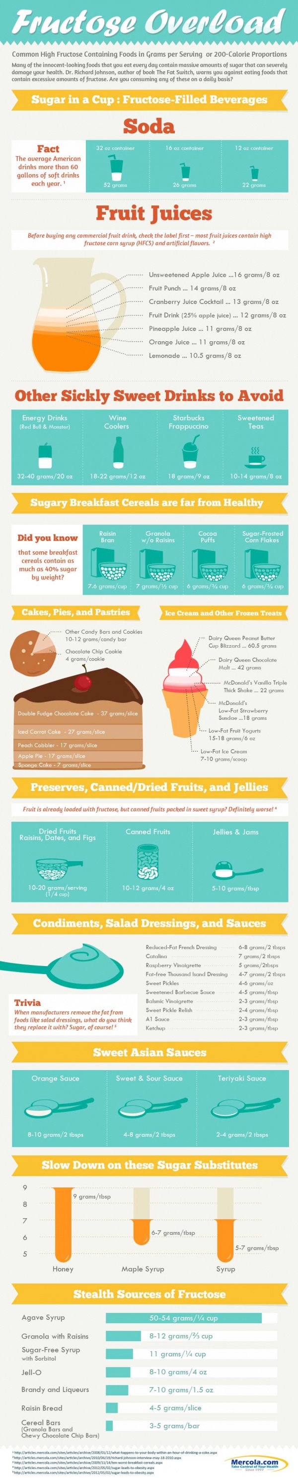 Dangerous Fructose Foods Infographic | Me, Him and the Cats